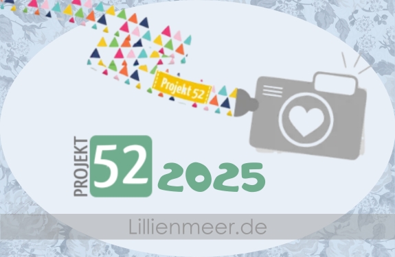 Logo für Projekt 52 2025 mit Kamera und bunten Dreiecken.