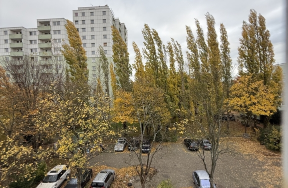 Parkplatz mit mehreren Autos und Bäumen, deren Blätter im Herbstgelb gefärbt sind.
