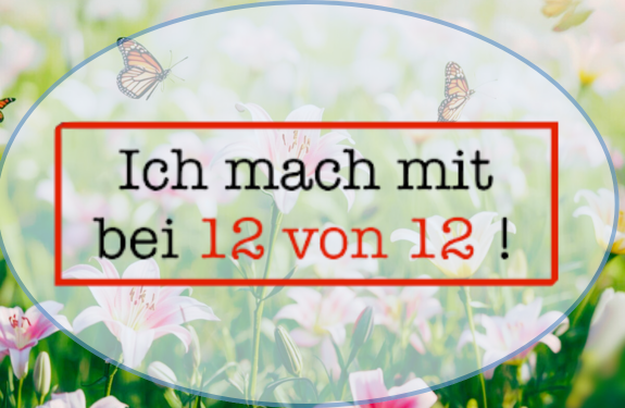 Frühlingsblumenfeld mit Schmetterlingen, überlagert von rotem Textrahmen: Ich mach mit bei 12 von 12 – März 2026, Lilienmeer.de, Lifestyleblog